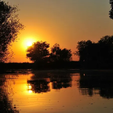 Coffee House 4* Sulina