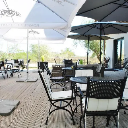 Coffee House * Sulina